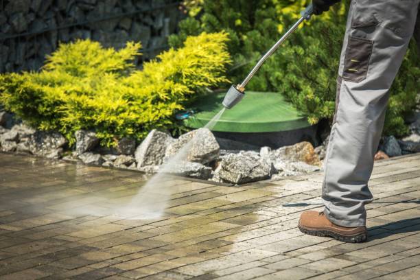 Best Soft Washing  in Claremont, CA